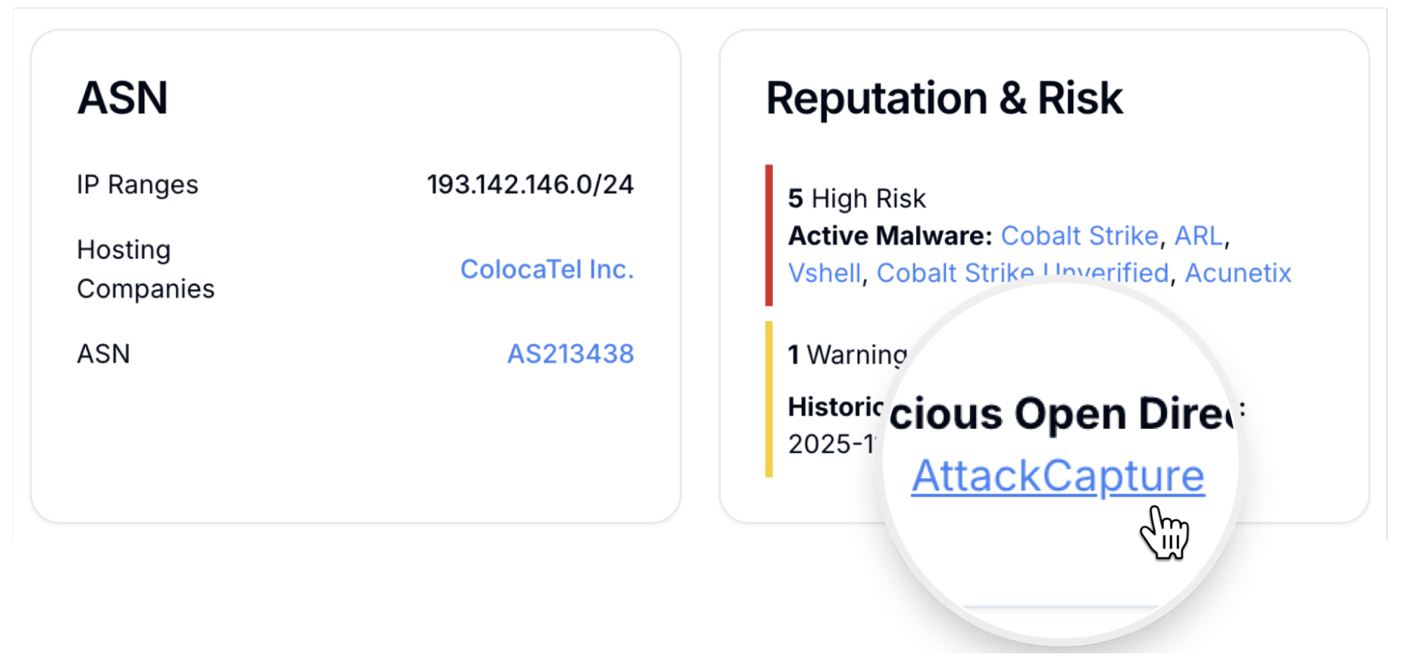 Domain details now highlight AttackCapture™ warnings that let you pivot into related open dirs