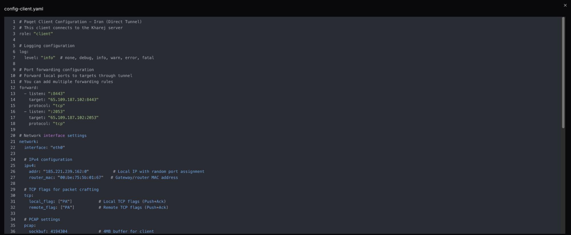 Figure 7: Snippet of Paqet client settings