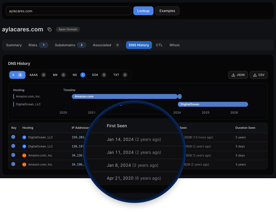 Passive DNS History